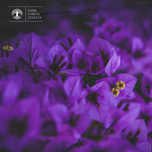 邱淑贞热舞被偷窥
